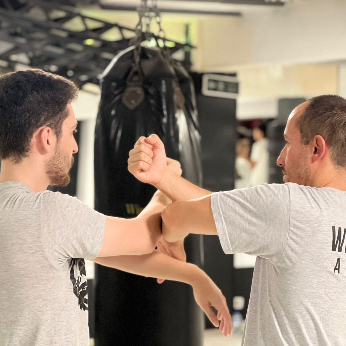 wing tsun akademi wing chun akademi bakırköy